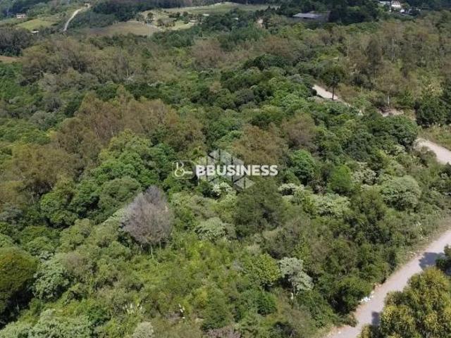 Terreno venda em Região Geográfica Imediata de Caxias do Sul, Caxias do Sul