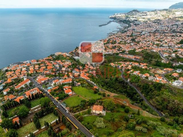 Terreno venda em Canto do Muro, Funchal
