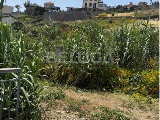Terreno venda em Funchal, Ilha Da Madeira