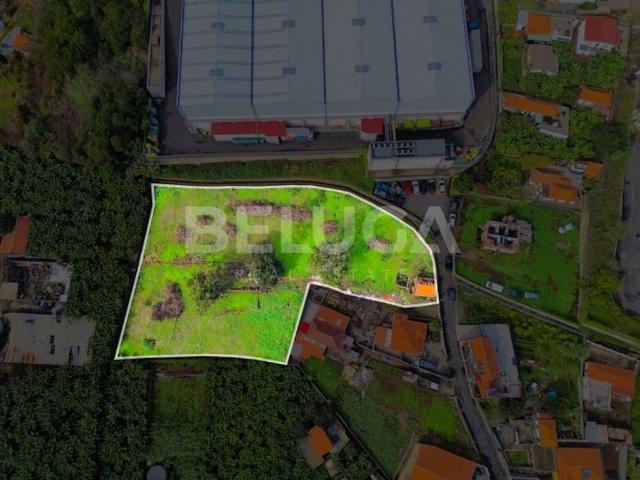 Terreno venda em Funchal, Ilha Da Madeira