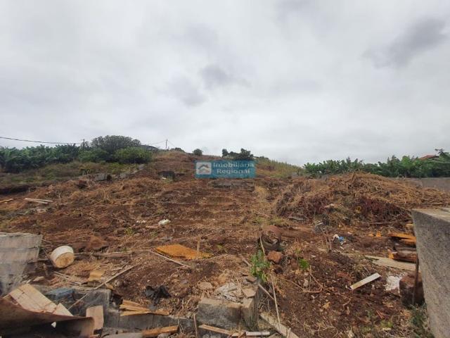 Terreno venda em Funchal, Ilha Da Madeira