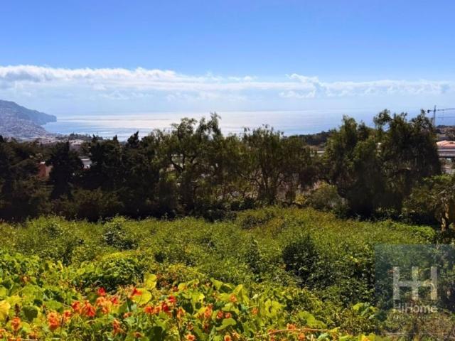 Terreno venda em Funchal, Ilha Da Madeira