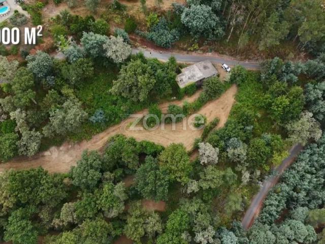 Quinta venda em Candão, Parada Do Bouro