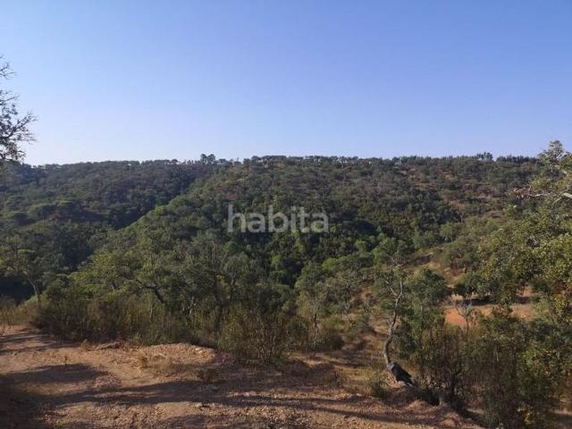 Terreno venda em Grândola, Setúbal