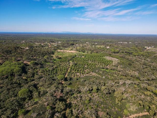 Terreno venda em Grândola, Setúbal