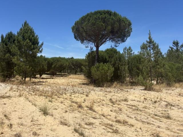Terreno venda em Grândola, Setúbal