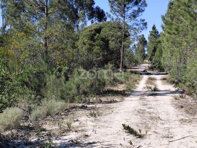 Terreno venda em Melides, Grândola