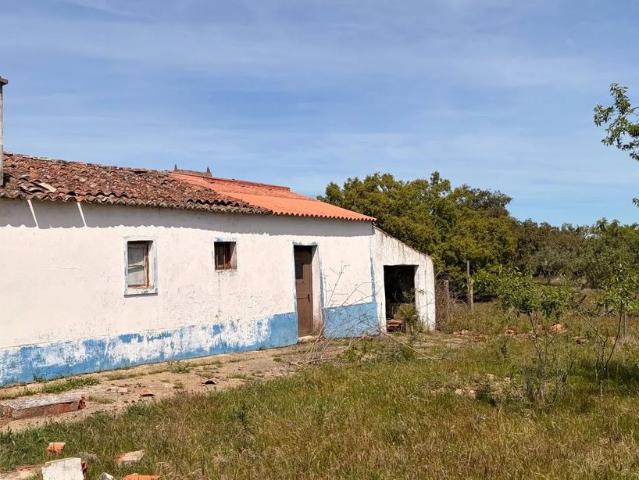 Terreno venda em Castelo Branco, Vila De Rei