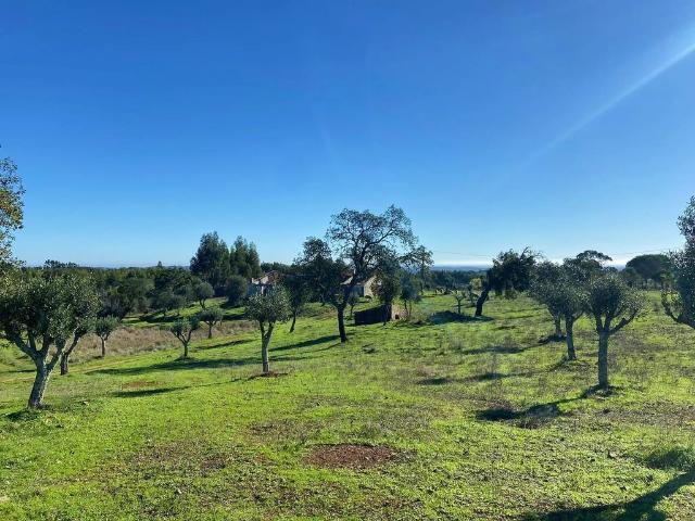 Terreno venda em Castelo Branco, Vila De Rei