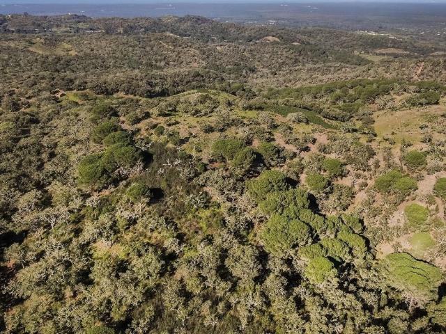 Terreno venda em Grândola, Setúbal