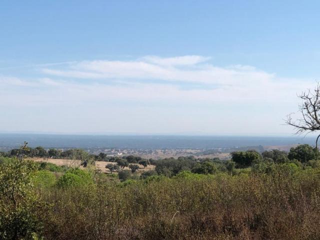 Terreno venda em Grândola, Setúbal