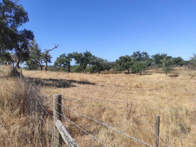 Terreno venda em Grândola, Setúbal