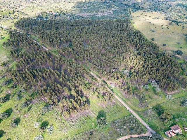 Terreno venda em Grândola, Setúbal