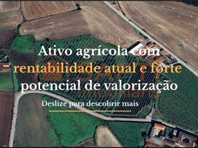 Terreno venda em Arcozelo, Braga