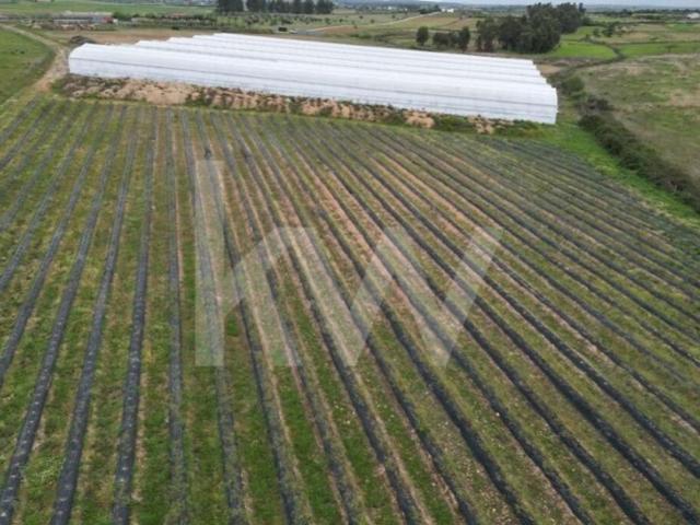 Terreno venda em Castelo Branco, Idanha-a-nova