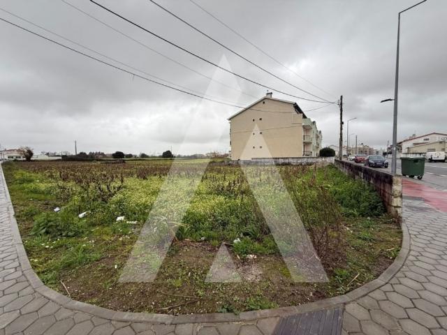 Terreno venda em Ílhavo, Aveiro