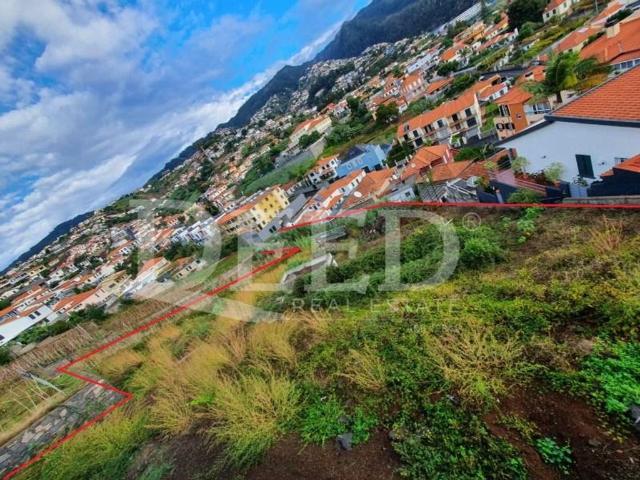 Terreno venda em Funchal, Ilha Da Madeira