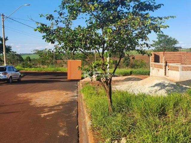 Terreno venda em Cravinhos