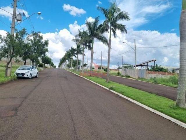 Terreno venda em Região Geográfica Imediata de Maringá, Floresta