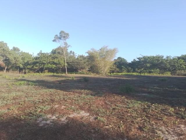 Terreno venda em Jijoca de Jericoacoara, Região Geográfica Intermediária de Sobral