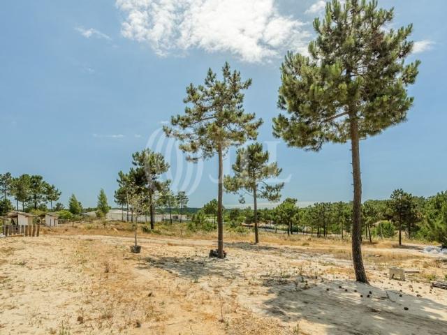 Terreno venda em Grândola, Setúbal