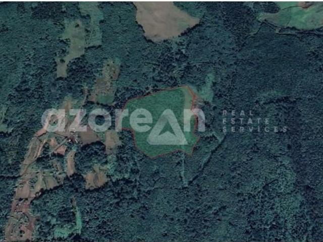 Terreno venda em Açores, São João