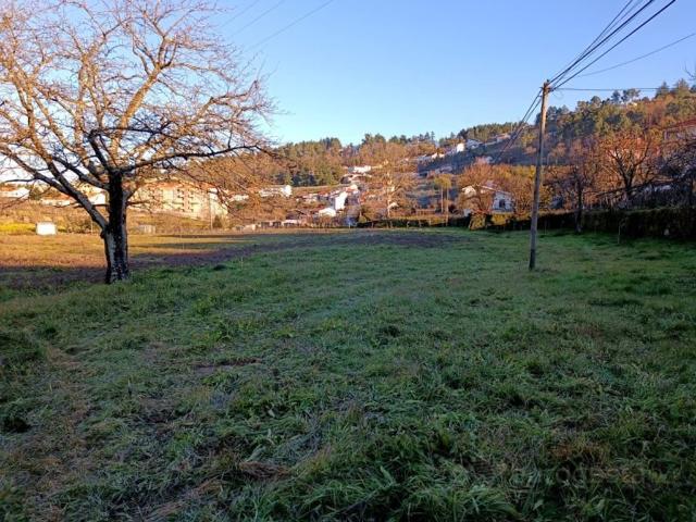 Terreno venda em Lamego, Viseu