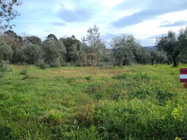 Terreno venda em Donairia, Leiria