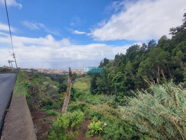 Terreno venda em Lajinhas, Funchal