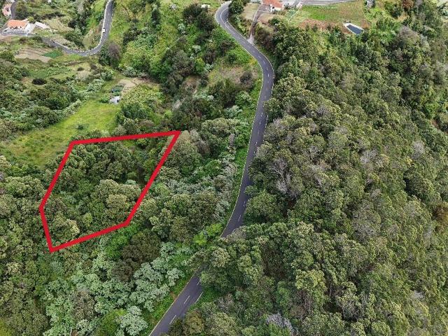 Terreno venda em Santana, Ilha Da Madeira