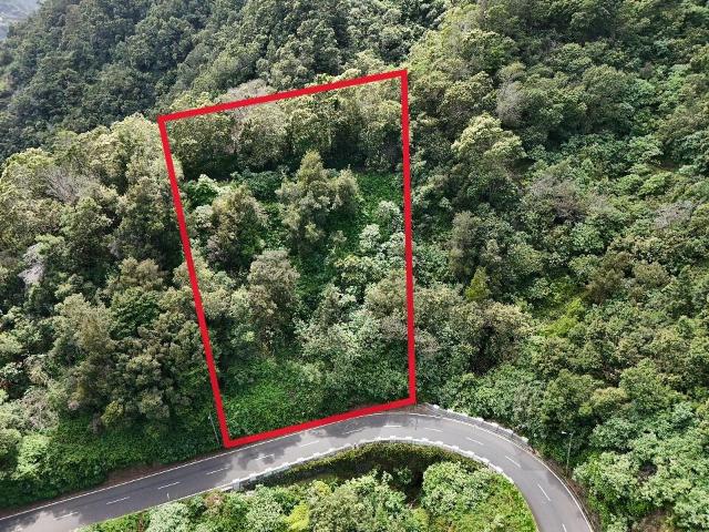Terreno venda em Santana, Ilha Da Madeira