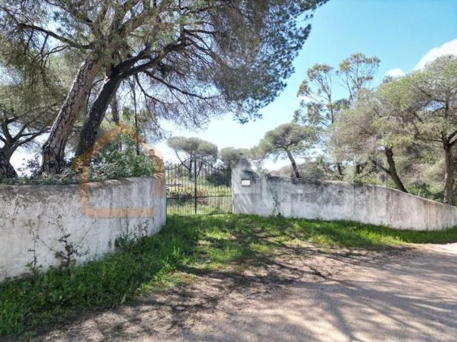 Terreno venda em Armação De Pêra, Faro