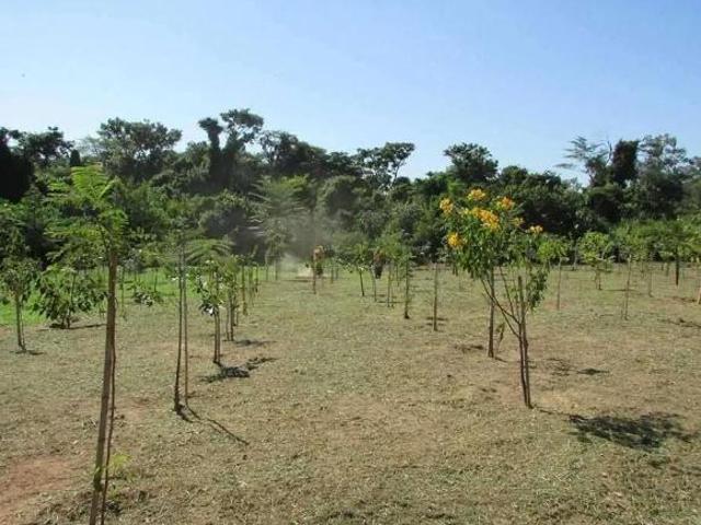 Terreno venda em Região Imediata de Campinas, Região Metropolitana de Campinas