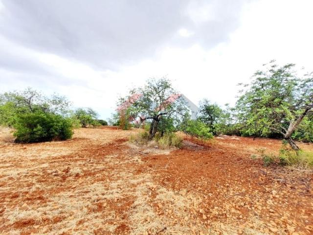 Terreno venda em Loulé, Faro