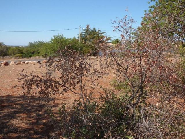 Terreno venda em Loulé, Faro