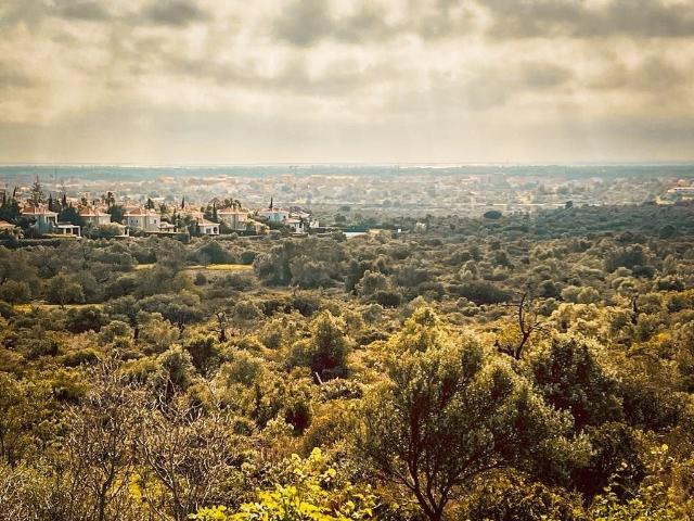 Terreno venda em Loulé, Faro