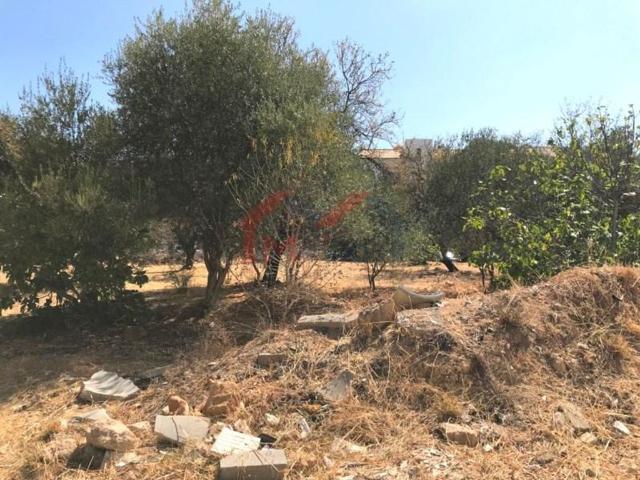 Terreno venda em Escanxinas, Loulé