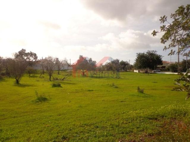 Terreno venda em Loulé, Faro