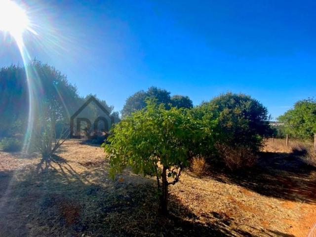 Terreno venda em Loulé, Faro