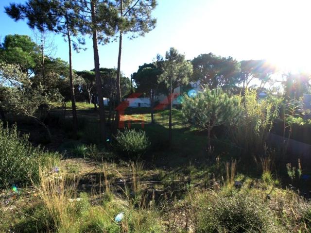 Terreno venda em Loulé, Faro