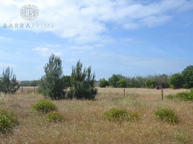 Terreno venda em Loulé (São Clemente), Loulé