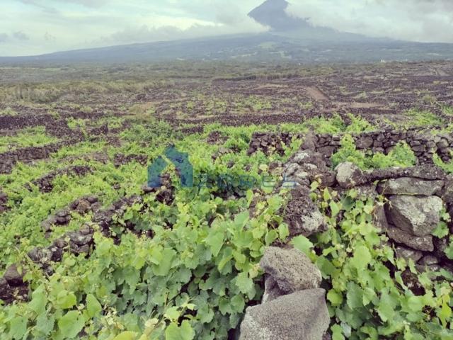 Terreno venda em Açores, Madalena