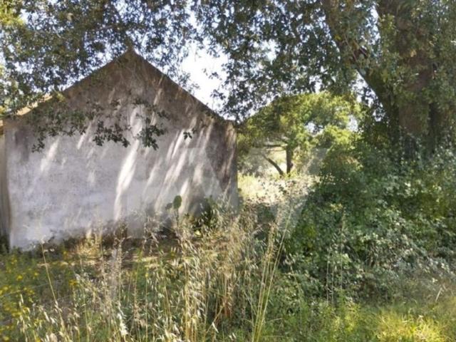 Terreno venda em Mafra, Lisboa