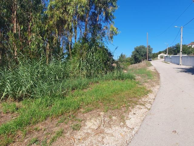 Terreno venda em Alcobaça, Leiria