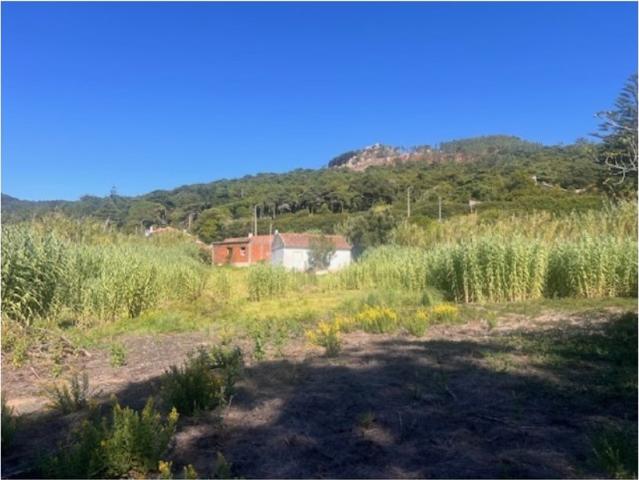 Terreno venda em Quinta de São Martinho, Cascais