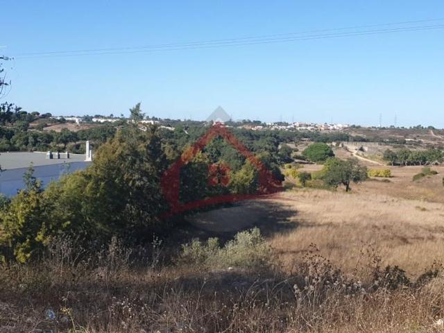 Terreno venda em Manteigadas, Setúbal