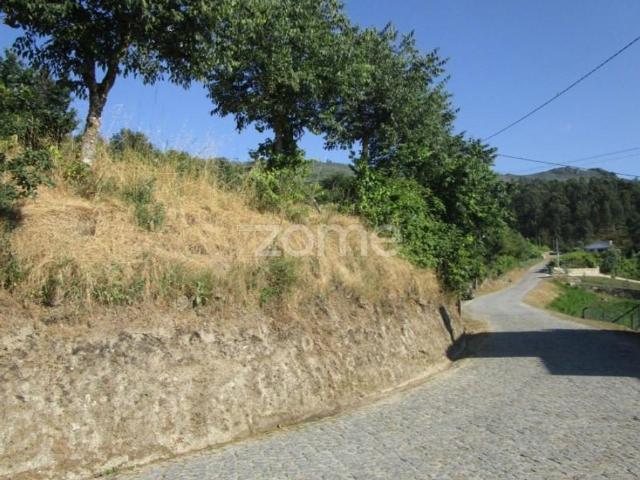 Terreno venda em Folhada, Várzea Ovelha E Aliviada