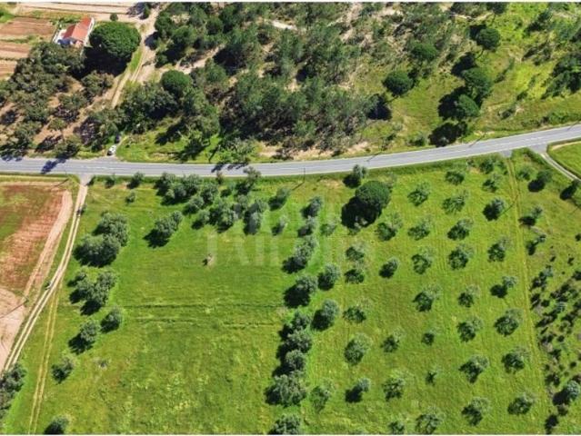 Terreno venda em Grândola, Setúbal