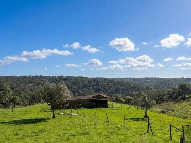 Terreno venda em Grândola, Setúbal