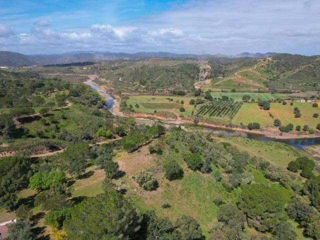 Terreno venda em São Bartolomeu De Messines, Faro